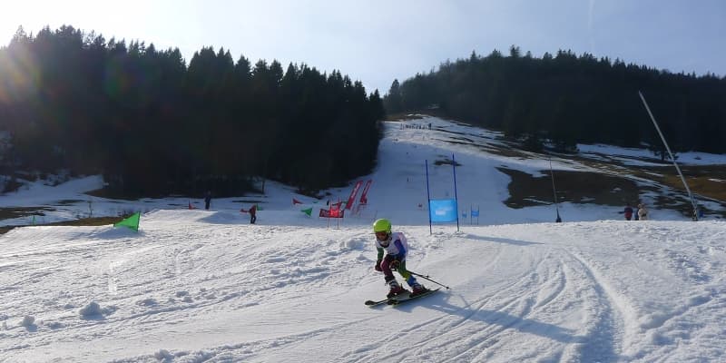 Ski Alpin Training
